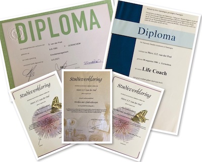 Collage van diploma's en certificaten