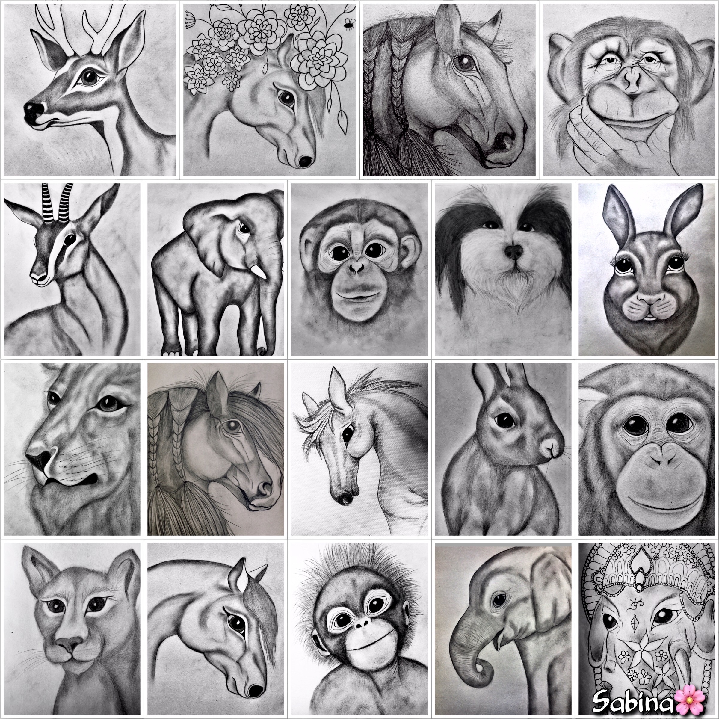 Een collage van tekeningen getekend door Sabina