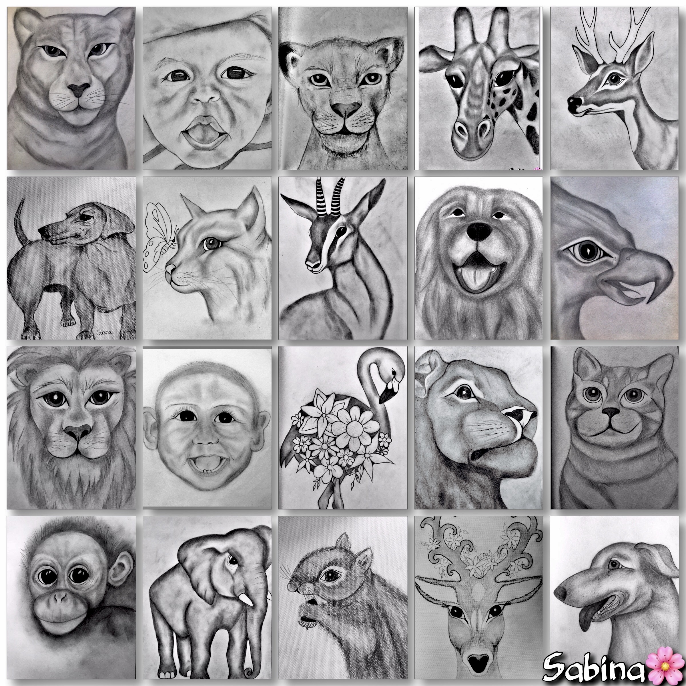 Een collage van tekeningen getekend door Sabina